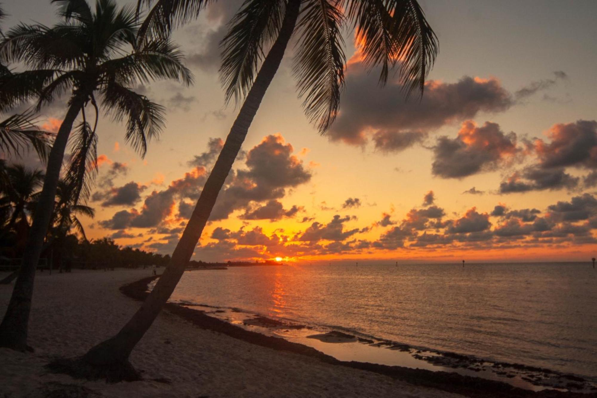 Truman Key West Oda fotoğraf